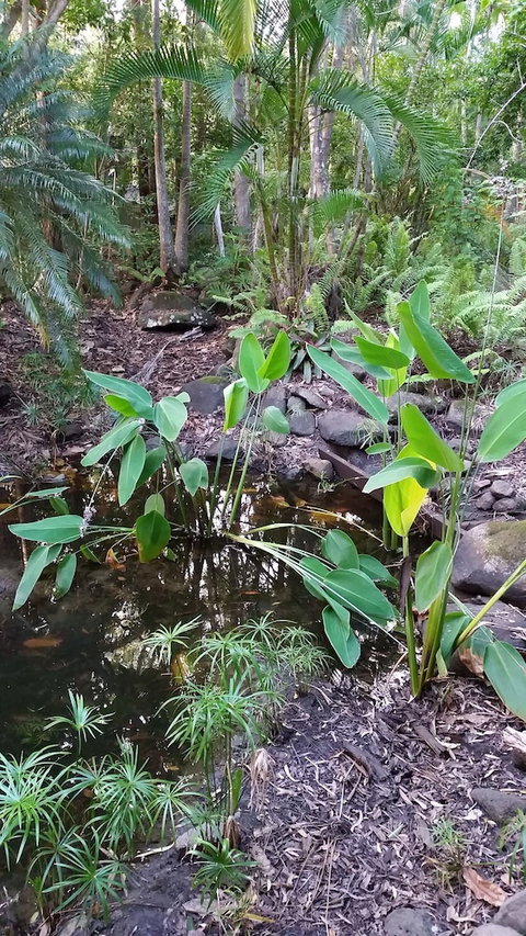 Hunchy Hideaway - VIC Tourism 1