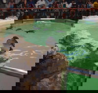 Anchorage Guest House