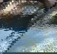 Town  Country Motel - VIC Tourism