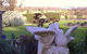 Springbank Bed & Breakfast - thumb 6