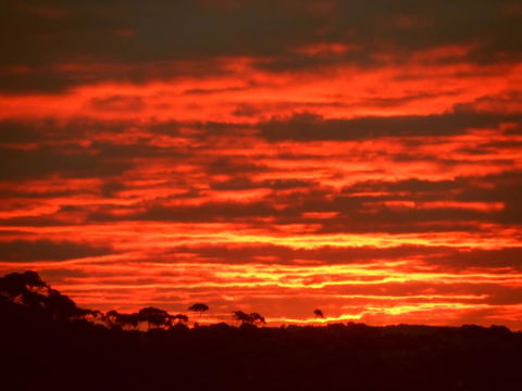 Tennessee Hill Chalets - VIC Tourism 0