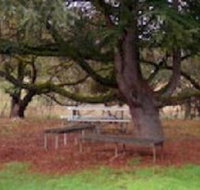 Auburn Shiraz Motel - VIC Tourism