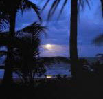 Sejala Beach Huts - VIC Tourism