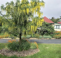 Hamlet Downs Country Accommodation - VIC Tourism