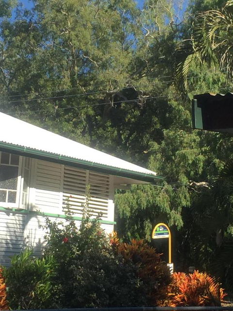 Daggoombah Holiday Home Magnetic Island - VIC Tourism 6