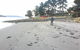 Bruny Island Beachside Accommodation - thumb 0