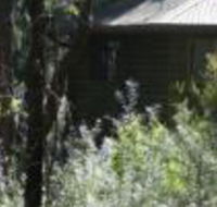 Twin Falls Bush Cottages - VIC Tourism