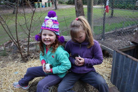 Fernleigh Farmstay & Bike Park - VIC Tourism 3