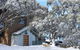 Alpine Retreat Mt Buller - thumb 1