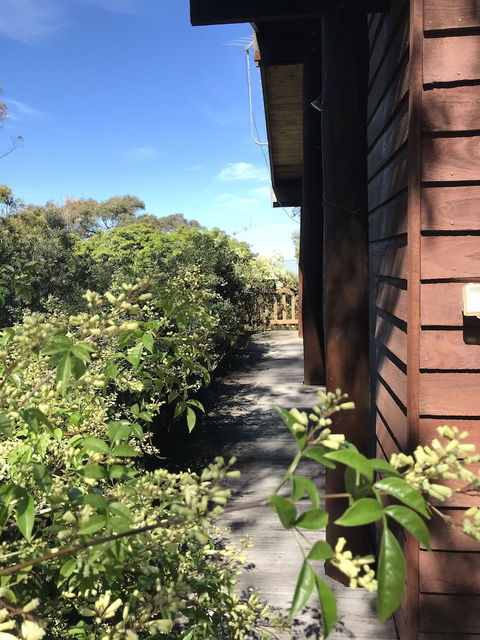 The Goat And Goose B&B - VIC Tourism 1