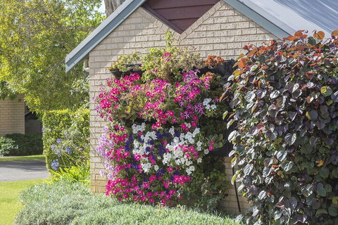 Bayshore Beachside Resort - VIC Tourism 3