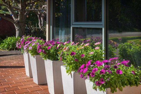 Bayshore Beachside Resort - VIC Tourism 5