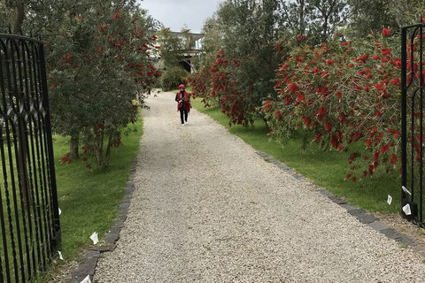 Harmony Bed & Breakfast - VIC Tourism 2