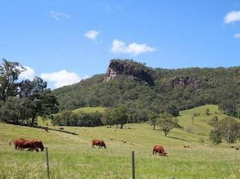 Rosevale House - VIC Tourism 0