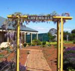Lavendale Farmstay  Cottages York - VIC Tourism