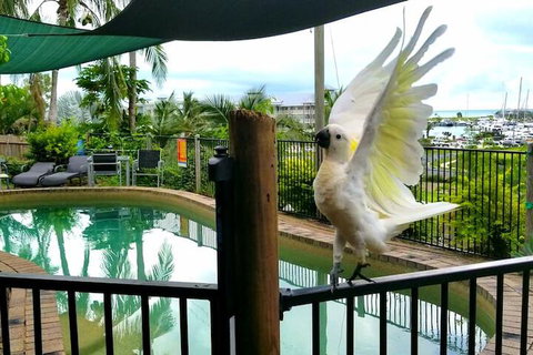 Backpackers By The Bay - VIC Tourism 3