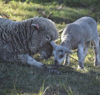 Clandulla Cottages - VIC Tourism