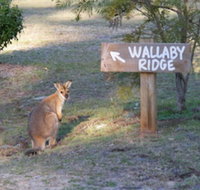 Wallaby Ridge Retreat - VIC Tourism