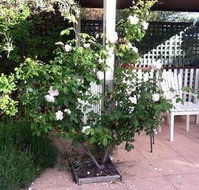 Ellesmere House - VIC Tourism