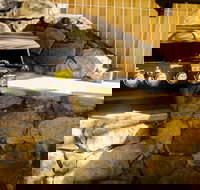 Coral Sea Vista Apartments