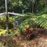 Kuranda QLD VIC Tourism