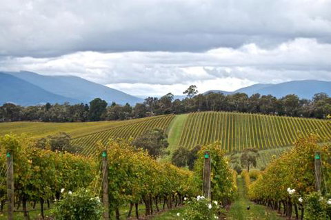 Mount Evelyn Retreat - VIC Tourism 2