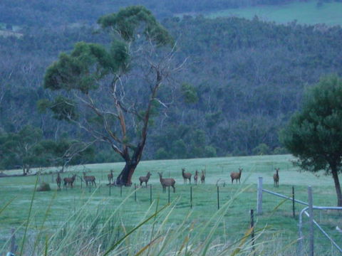 Hawksview At Mafeking - VIC Tourism 3