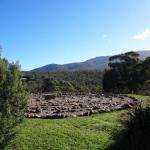 Hawksview At Mafeking - VIC Tourism 0