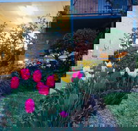 The Vines Motel and Cottages - VIC Tourism