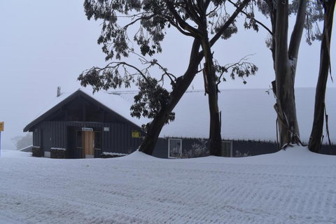 Cooroona Alpine Lodge - VIC Tourism 5