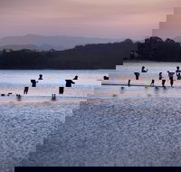 Tallebudgera Creek Tourist Park