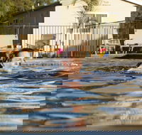 Riverside Cabin Park - VIC Tourism