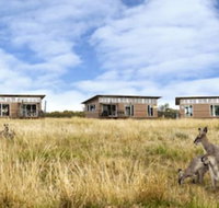 Savannah Cabins - VIC Tourism
