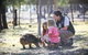 Billabong Camp Taronga Western Plains Zoo - thumb 6