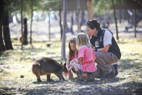 Billabong Camp Taronga Western Plains Zoo - VIC Tourism 6