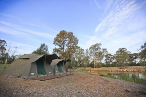 Billabong Camp Taronga Western Plains Zoo - VIC Tourism 4