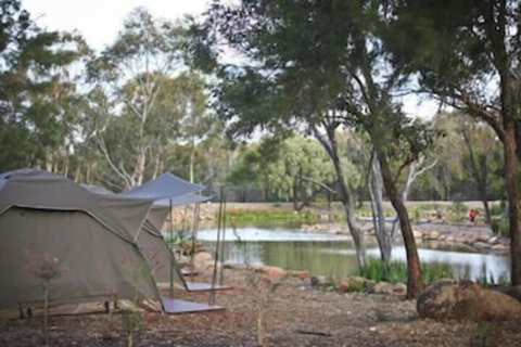 Billabong Camp Taronga Western Plains Zoo - VIC Tourism 2