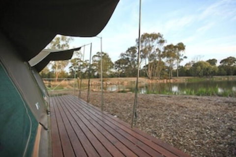 Billabong Camp Taronga Western Plains Zoo - VIC Tourism 5