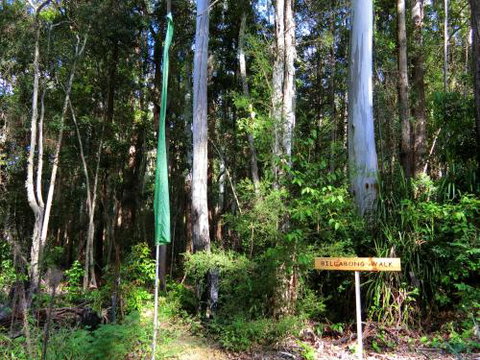 Yarralen Retreat - VIC Tourism 4