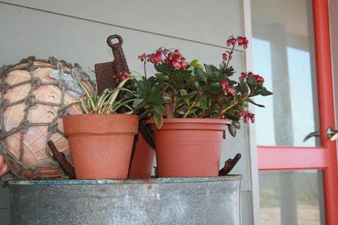 Bremer Bay B & B - VIC Tourism 2