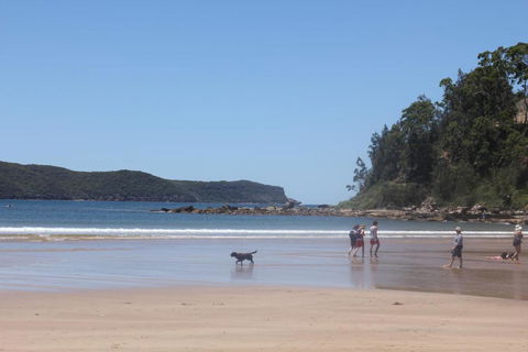 Ocean Beach Cottage - VIC Tourism 5