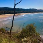 Ocean Beach Cottage - VIC Tourism 0