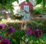 A Country Barn Retreat - VIC Tourism
