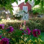 A Country Barn Retreat - VIC Tourism 0