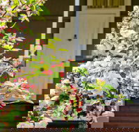 Apple Blossom Cottage - VIC Tourism