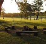 Wallaby Cottage cute Accom in bushland setting - VIC Tourism
