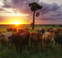 Myella Farm Stay - VIC Tourism
