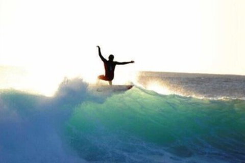 Nautilus Retreat - VIC Tourism 7