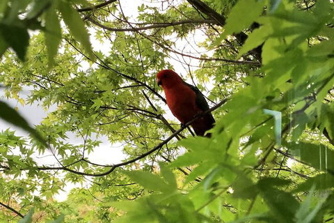 The Studio Yarra Valley - VIC Tourism 7