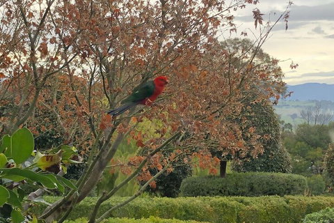 The Studio Yarra Valley - VIC Tourism 4
